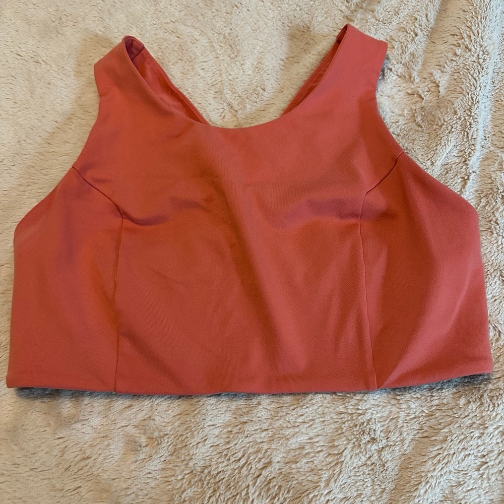 The North Face Coral Beyond The Wall Free Motion Bra, Size Large